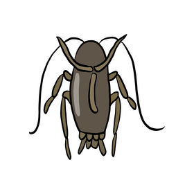 Crawling insect drawing clipart