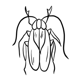 Free crawling insect black and white clipart