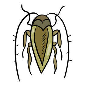 Crawling insect illustration clipart