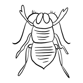 Crawling insect black and white clipart