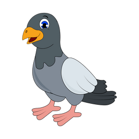 Pigeon clipart