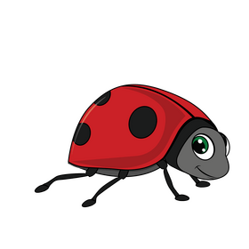 Ladybug clipart