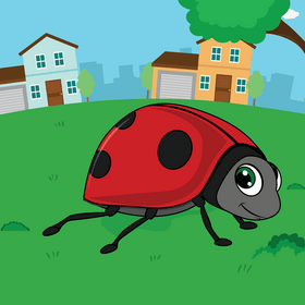 Ladybug vector