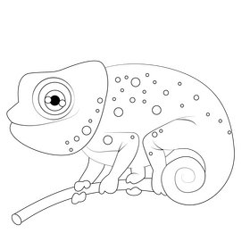 Iguana black and white clipart