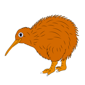 Kiwi bird clipart