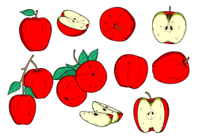Apple drawing set vector