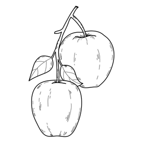 Red apples drawing black and white clipart