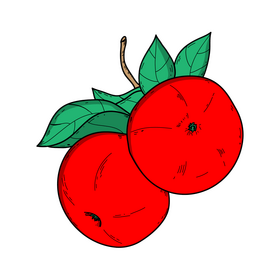 Red apples drawing clipart