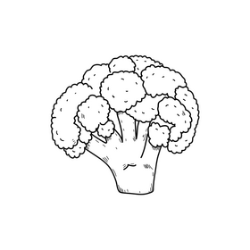 Cauliflower realistic drawing black and white clipart