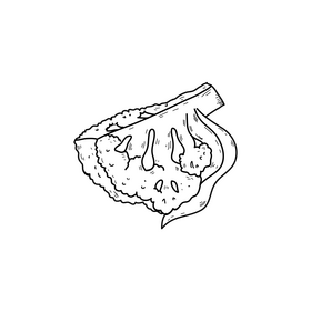 Cauliflower slice drawing black and white clipart