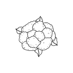 Cauliflower drawing black and white clipart