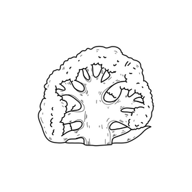 Cauliflower slice black and white clipart