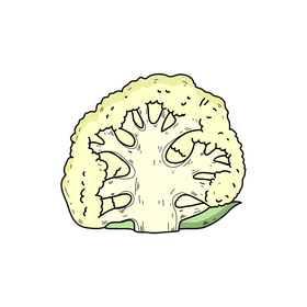 Cauliflower slice clipart