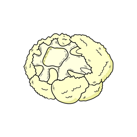 Cauliflower cut drawing clipart