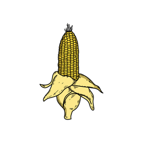 Corn easy drawing clipart