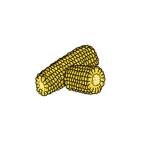 Corn realistic clipart