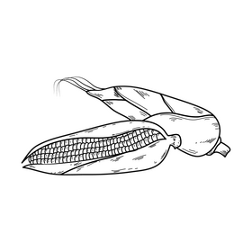 Corn cartoon drawing black and white clipart