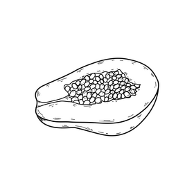 Papaya half drawing black and white clipart