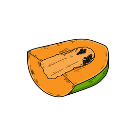 Papaya fruit clipart