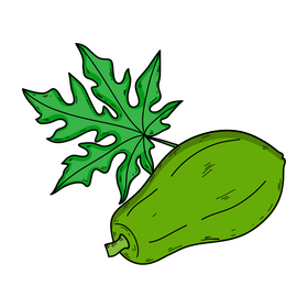 Papaya with leaf clipart