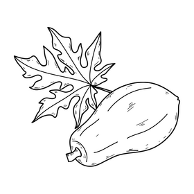 Papaya with leaf drawing black and white clipart