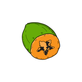Papaya fruit drawing clipart