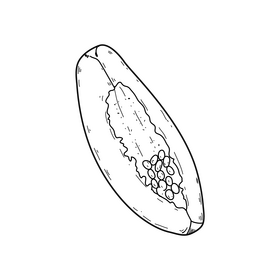 Papaya fruit slice black and white clipart