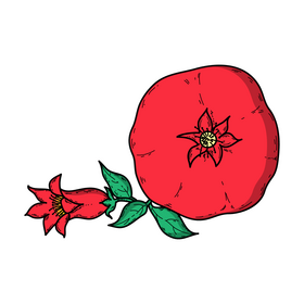 Pomegranate with flower drawing clipart