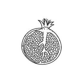 Pomegranate drawing black and white clipart