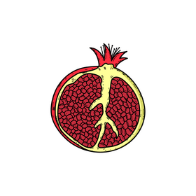 Pomegranate drawing clipart