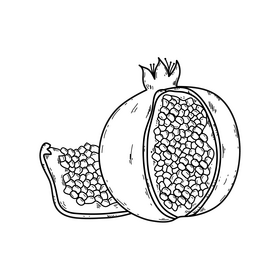 Pomegranate fruit drawing black and white clipart