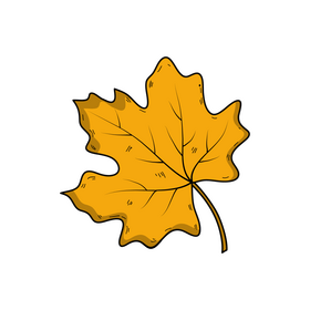 Autumn leaf drawing clipart
