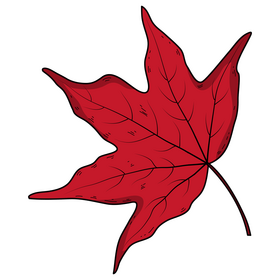 Fall leaf drawing clipart