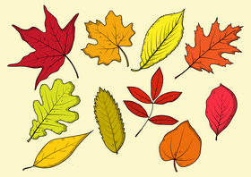 Fall leaves drawing vector