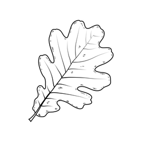 Fall leaf black and white clipart