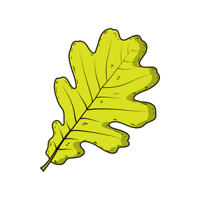 Fall leaf clipart