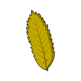 Autumn leaf drawing clipart