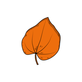 Cute fall leaf clipart