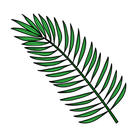 Jungle palm leaf drawing clipart