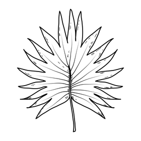 Tropical palm leaf drawing black and white clipart