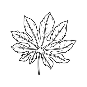 Exotic palm leaf drawing black and white clipart