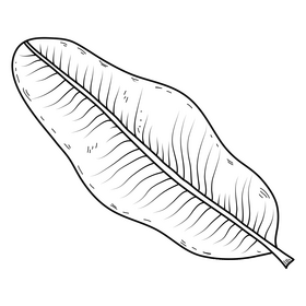 Palm leaf drawing black and white clipart