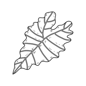 Palm leaf black and white clipart