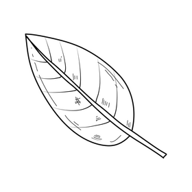 Green palm leaf black and white clipart