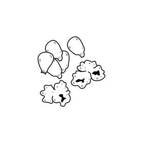 Popcorn seeds drawing black and white clipart