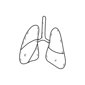 Human lungs drawing black and white clipart