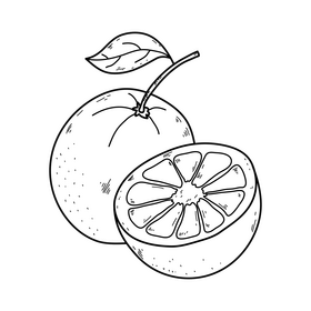 Orange drawing black and white clipart