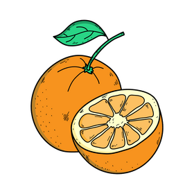 Orange drawing clipart