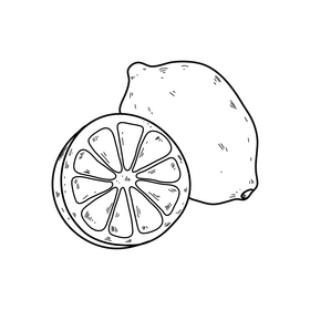 Lemon drawing black and white clipart