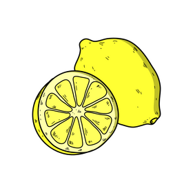 Lemon drawing clipart